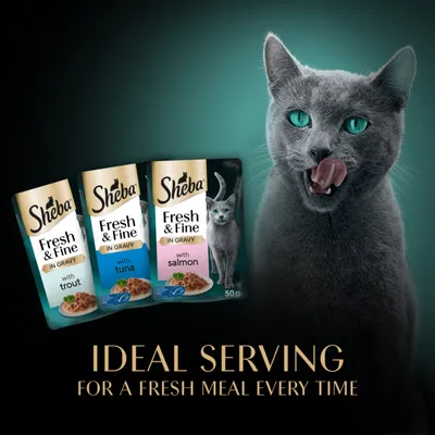 Sheba Fresh & Fine in Gravy Mini Pouches 6 x 50g - Salmon, Tuna & Trout Sheba Fresh & Fine in Gravy Mini Pouches 6 x 50g - Salmon, Tuna & Trout