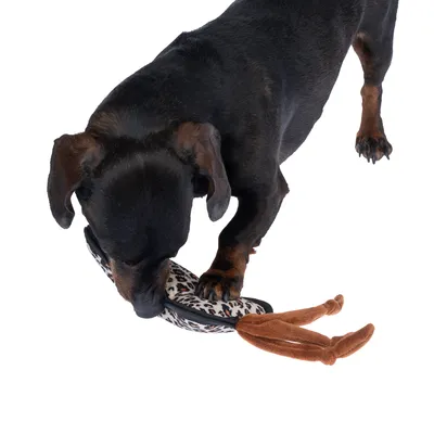Perro juega con un juguete de estampado de leopardo y elementos de tela marrón.