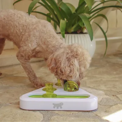Dog playing with interactive toy made of white plastic and green elements, suitable for activity or feeding.