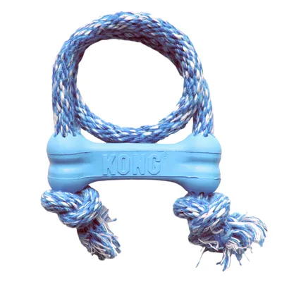 Jouet pour chien KONG, corde tressée bleu et blanc avec poignée en plastique bleu portant l’inscription KONG, deux nœuds visibles aux extrémités de la corde.