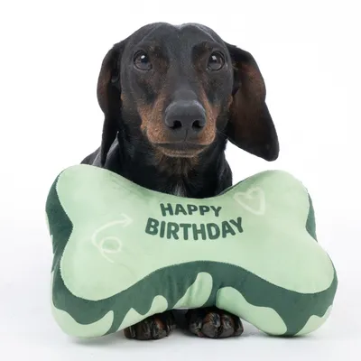 Zöld csont alakú párna „Happy Birthday” felirattal és szívecskékkel.