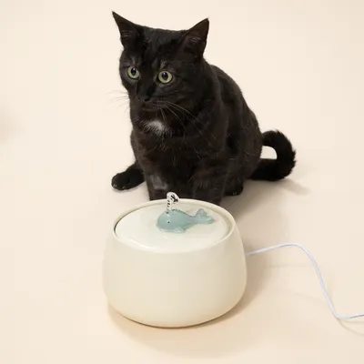 TIAKI Keramische Drinkfontein Wal