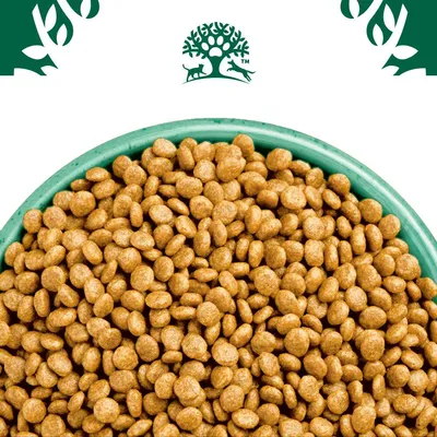 Croquettes marron clair dans une gamelle verte, logo avec arbre stylisé et silhouettes de chien et chat visible en haut de l’image.