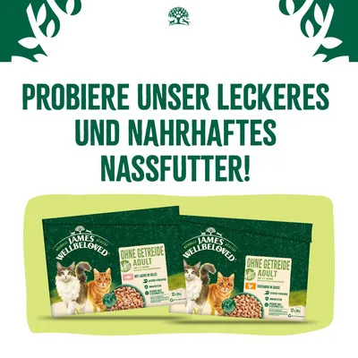 Texte en allemand : 'Probiere unser leckeres und nahrhaftes Nassfutter!' Paquets James Wellbeloved Ohne Getreide Adult, chats illustrés, saveurs saumon et dinde visibles.