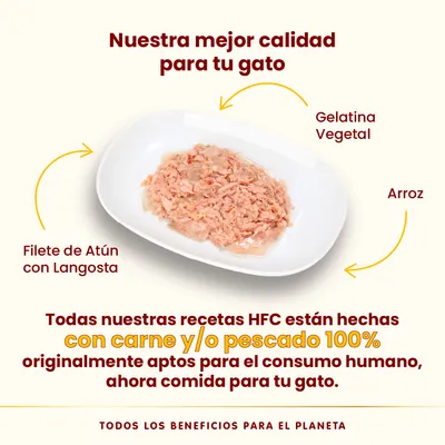 Filete de atún con langosta, gelatina vegetal y arroz en plato. Texto: recetas HFC hechas con carne y/o pescado 100% aptos para consumo humano, ahora comida para tu gato.