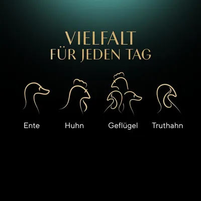 Vielfalt für jeden Tag. Abgebildet: Enten-, Hühner-, Geflügel- und Truthahnsilhouetten als Symbol für verschiedene Geschmacksrichtungen.