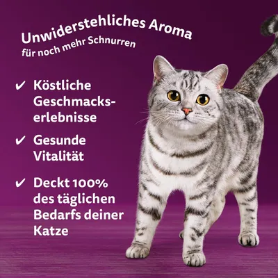 Texte en allemand : Unwiderstehliches Aroma, Köstliche Geschmackserlebnisse, Gesunde Vitalität, Deckt 100% des täglichen Bedarfs deiner Katze. Chat gris tigré sur fond violet.