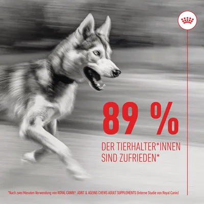 89 % der Tierhalter*innen sind zufrieden nach zwei Monaten Verwendung von Royal Canin Joint & Ageing Chews Adult Supplements. Interne Studie von Royal Canin.
