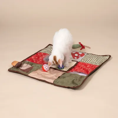 TIAKI herfst speel- en snuffelmat voor katten