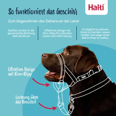 Halti Hunde-Kopfhalfter schwarz