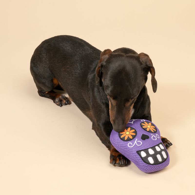 TIAKI Hundespielzeug Catrina