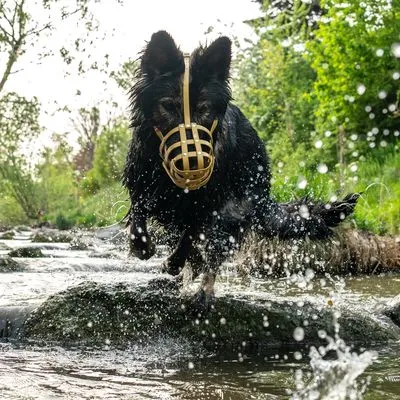 COLORI® Herder muilkorf L, lichtbruin