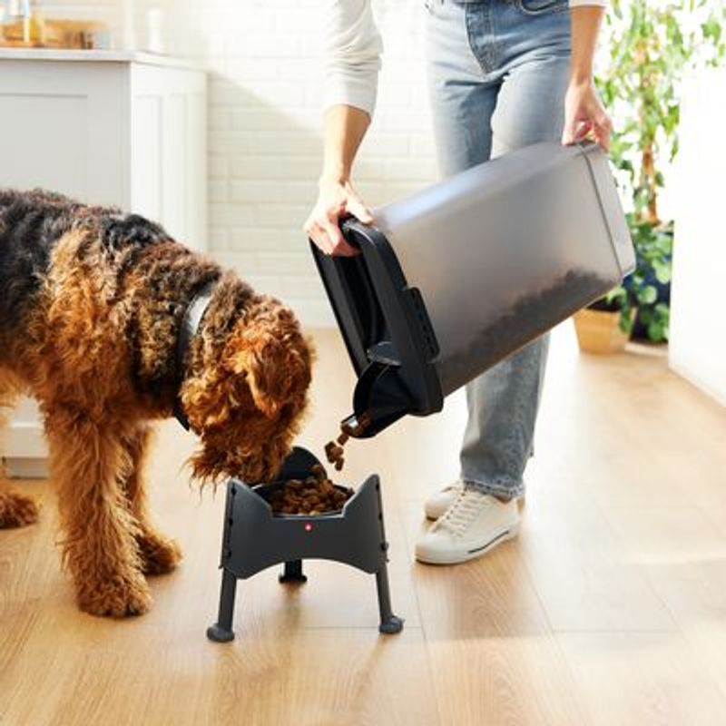 Rotho MyPet Cody Voercontainer