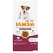 IAMS Advanced Nutrition Sensitive Digestion mit Pute