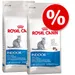 Ekonomično pakiranje 2 x 10 kg: Royal Canin 20 kg