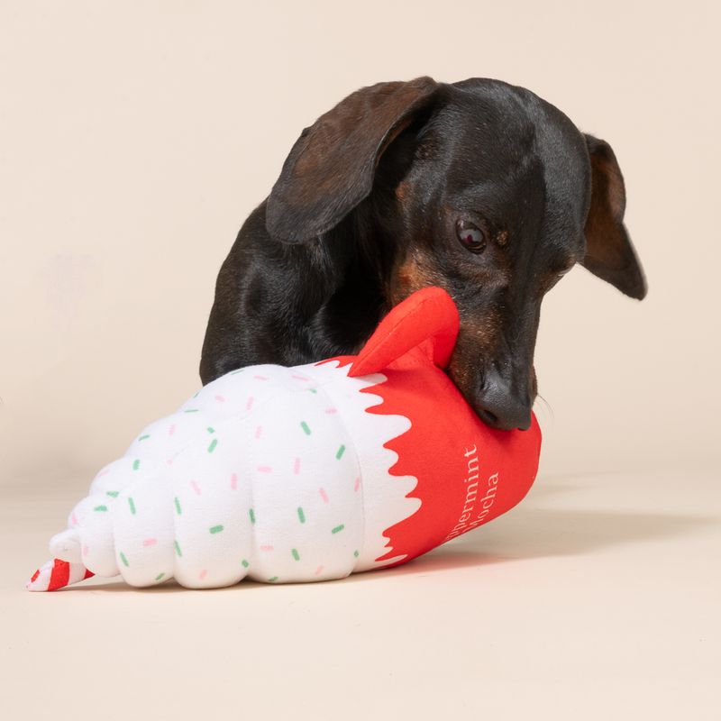 TIAKI Hundespielzeug "Puppermint Mocha"