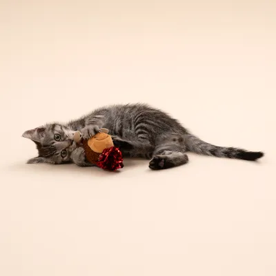 TIAKI северен елен с щумолящо фолио, играчка за котки