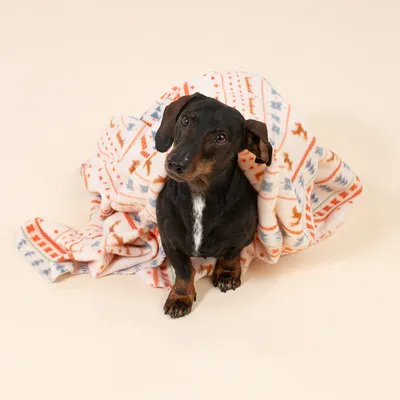 TIAKI Kuscheldecke mit nordischem Wintermuster