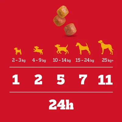 Recommandation d'alimentation : chien de 2 à 3 kg, 1 pièce ; 4 à 9 kg, 2 pièces ; 10 à 14 kg, 5 pièces ; 15 à 24 kg, 7 pièces ; plus de 25 kg, 11 pièces toutes les 24 h. Recommandation d'alimentation : chien de 2 à 3 kg, 1 pièce ; 4 à 9 kg, 2 pièces ; 10 à 14 kg, 5 pièces ; 15 à 24 kg, 7 pièces ; plus de 25 kg, 11 pièces toutes les 24 h.