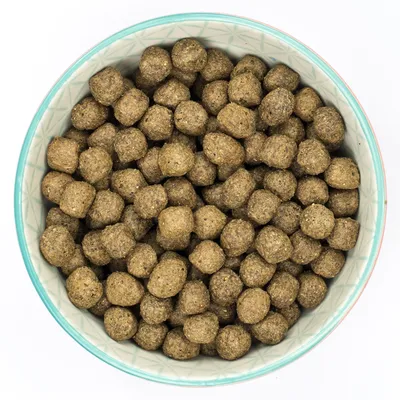 Bowl filled with round, brown dry food pellets.