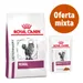 Pack nutrición mixta: pienso + sobres Royal Canin Veterinary