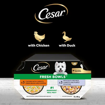 Cesar Fresh Bowls in Gravy Mixed Selection - 24 x 85g Cesar Fresh Bowls in Gravy Mixed Selection - 24 x 85g