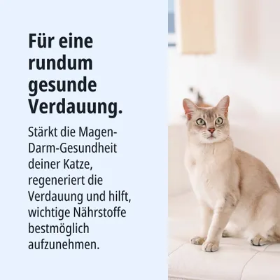 Für eine rundum gesunde Verdauung. Stärkt die Magen-Darm-Gesundheit deiner Katze, regeneriert die Verdauung und hilft, wichtige Nährstoffe bestmöglich aufzunehmen. Für eine rundum gesunde Verdauung. Stärkt die Magen-Darm-Gesundheit deiner Katze, regeneriert die Verdauung und hilft, wichtige Nährstoffe bestmöglich aufzunehmen.