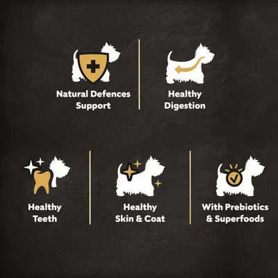 Cesar Adult with Chicken, Salmon & Vegetables