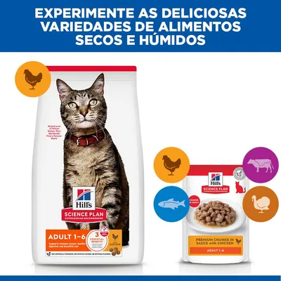 Hill's Science Plan Adult 1-6 Frango