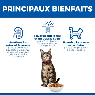 Hill's Science Plan Adult agneau, riz