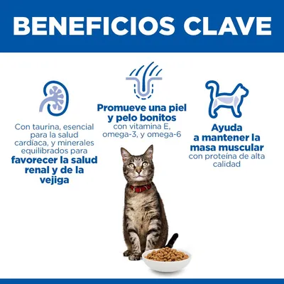 Hill's Science Plan Adult cordero y arroz