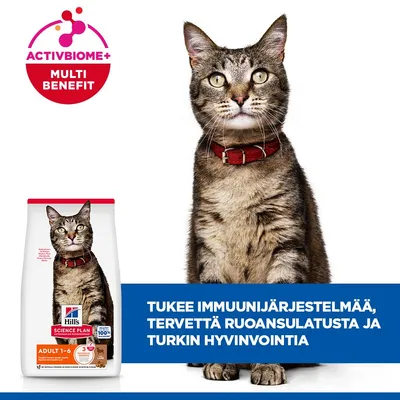 Hill's Science Plan Adult 1-6 -kissanruoka ActivBiome+ Multi Benefit. Tukee immuunijärjestelmää, tervettä ruoansulatusta ja turkinhoitoa.