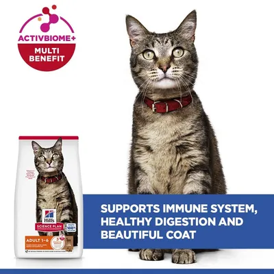 Hill's Science Plan Adult bárány & rizs