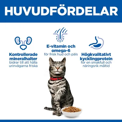 Rent och färskt dricksvatten bör alltid finnas tillgängligt.