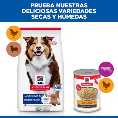 Hill's Science Plan Mature Adult 7+ Medium cordero y arroz Hill's Science Plan Mature Adult 7+ Medium cordero y arroz