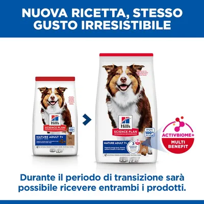 Hill's Science Plan Mature Adult 7+ Medium con Agnello e Riso