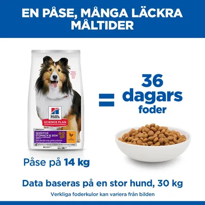 Hill's Science Plan Sensitive Stomach & Skin Adult 1 + Medium Chicken