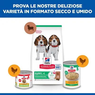 Hill's Science Plan Puppy <1 Medium con Agnello e Riso