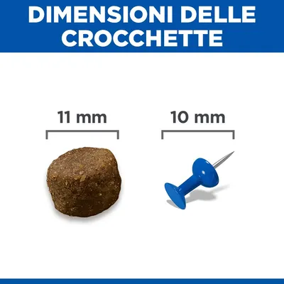 Hill's Science Plan Puppy <1 Medium con Agnello e Riso