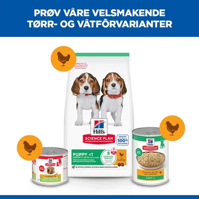 Hill's Science Plan Puppy <1 Medium med Kylling