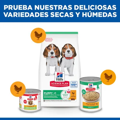 Hill's Science Plan Puppy <1 Medium  con pollo