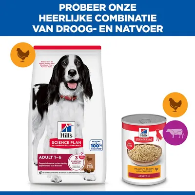 Hill's Science Plan Adult Medium met Lam met Rijst