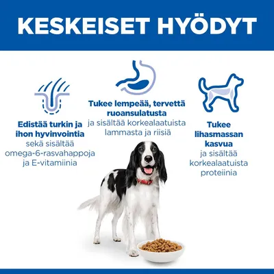 Edistää ihon ja turkin terveyttä omega-6:n ja E-vitamiinin avulla, tukee hellävaraista ruoansulatusta lampaan ja riisin ansiosta, edistää lihasten kasvua korkealaatuisen proteiinin avulla. Edistää ihon ja turkin terveyttä omega-6:n ja E-vitamiinin avulla, tukee hellävaraista ruoansulatusta lampaan ja riisin ansiosta, edistää lihasten kasvua korkealaatuisen proteiinin avulla.