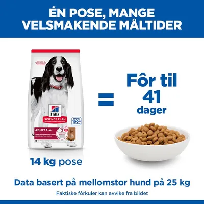 Hill's Science Plan Adult 1-6 Medium Lam & Ris