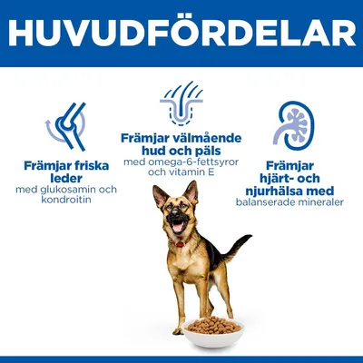 Hill's Science Plan Mature Adult 6+ Large Chicken