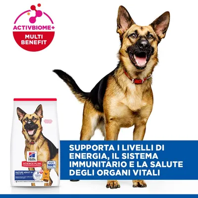 Hill's Science Plan Mature Adult 6+ Large con Pollo