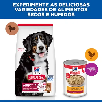 Hill's Science Plan Adult 1-5 Large com cordeiro e arroz
