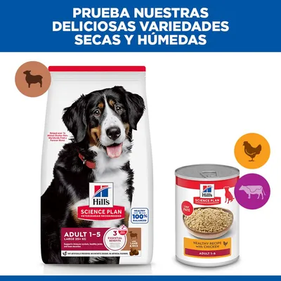 Hill's Science Plan Adult 1-5 Large con cordero y arroz