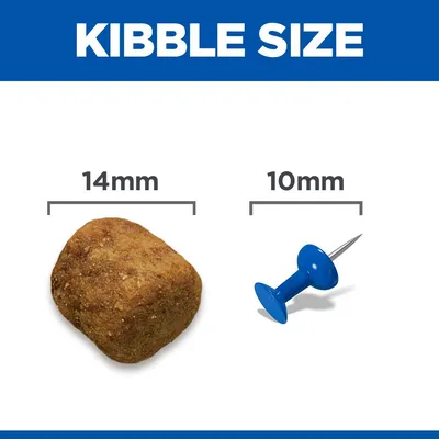 Hill's Science Plan Adult 1-5 Large with Lamb & Rice