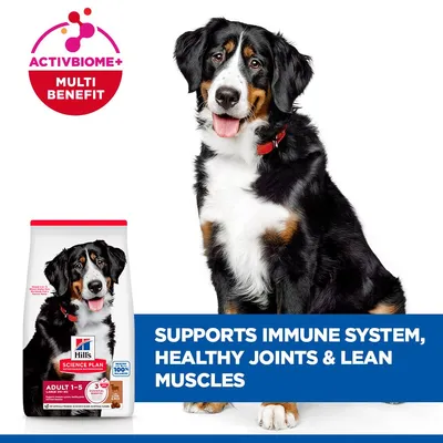 Hill's Science Plan Adult 1-5 Large bárány & rizs